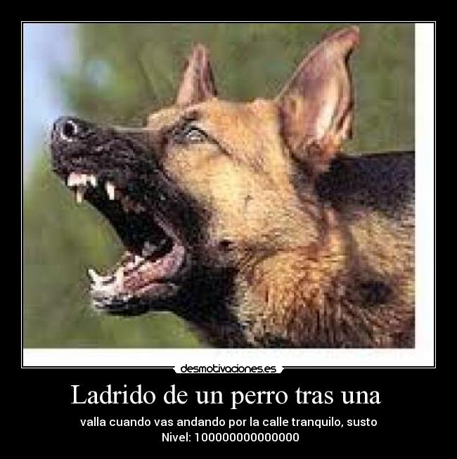 carteles ladrido perro tras valla desmotivaciones