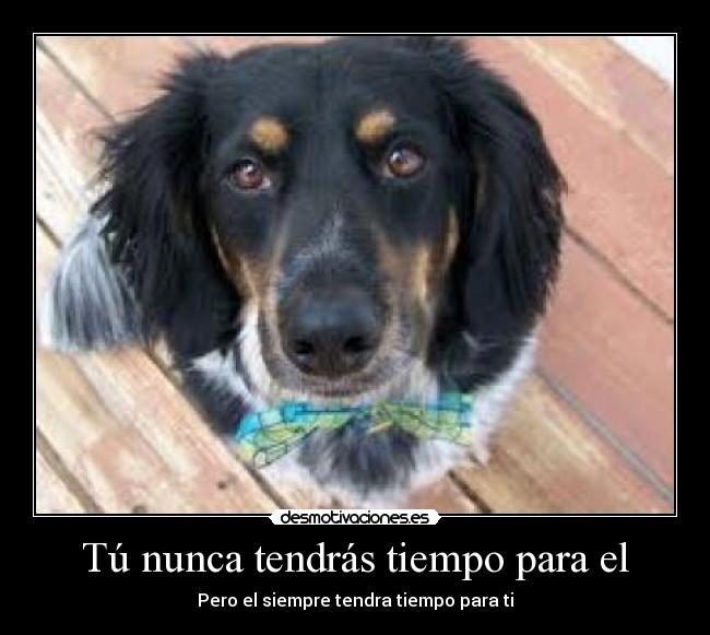 Tú nunca tendrás tiempo para el - 