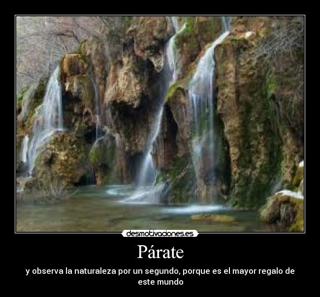 Párate - y observa la naturaleza por un segundo, porque es el mayor regalo de este mundo