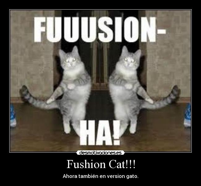 Fushion Cat!!! - Ahora también en version gato.
