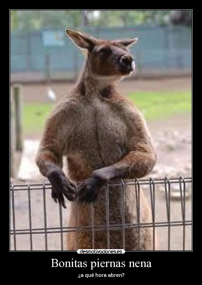 Bonitas piernas nena -