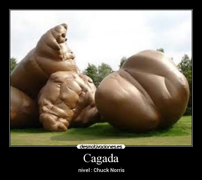 Cagada - nivel : Chuck Norris
