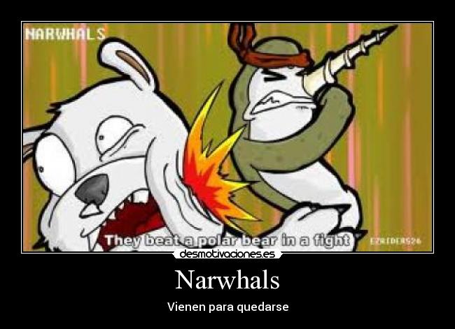 Narwhals -