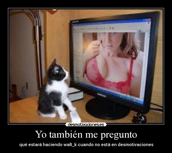 Yo también me pregunto - qué estará haciendo walt_k cuando no está en desmotivaciones