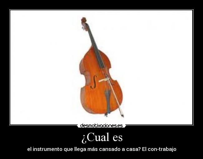 ¿Cual es - 