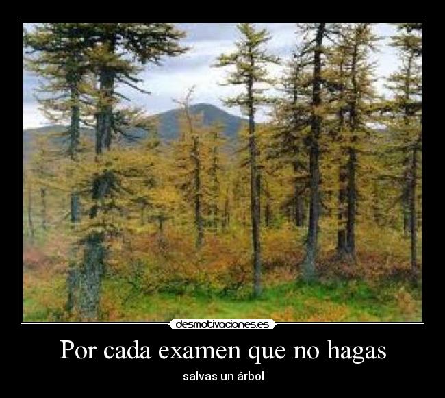 Por cada examen que no hagas -