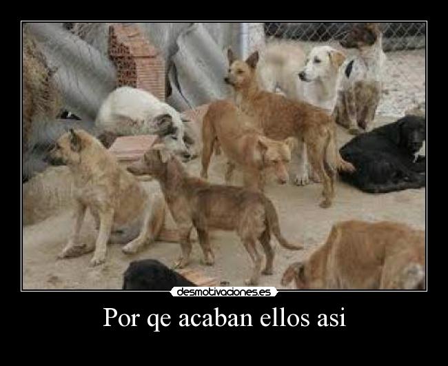 Por qe acaban ellos asi -