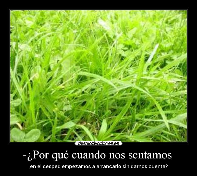 -¿Por qué cuando nos sentamos  - en el cesped empezamos a arrancarlo sin darnos cuenta?