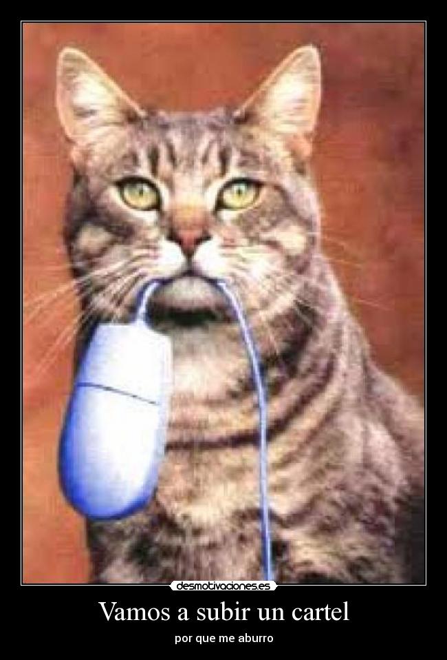 Vamos a subir un cartel - por que me aburro