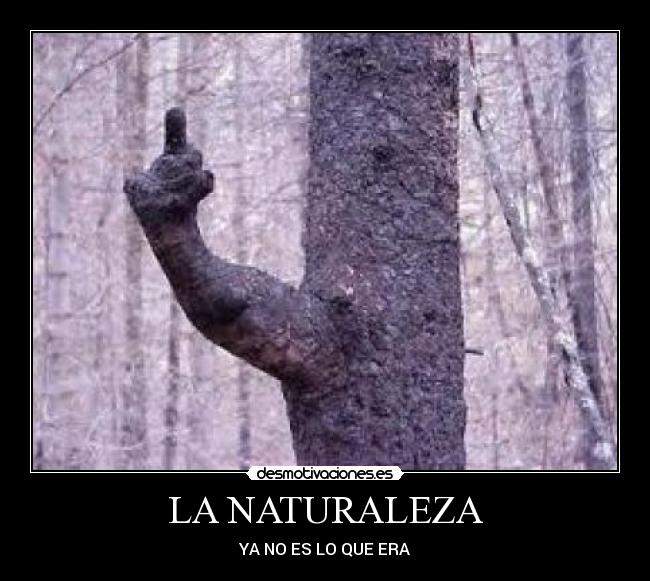 LA NATURALEZA -