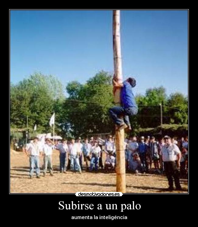 Subirse a un palo -