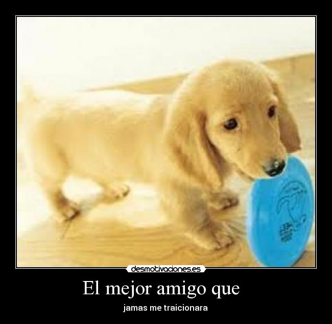 El mejor amigo que - jamas me traicionara