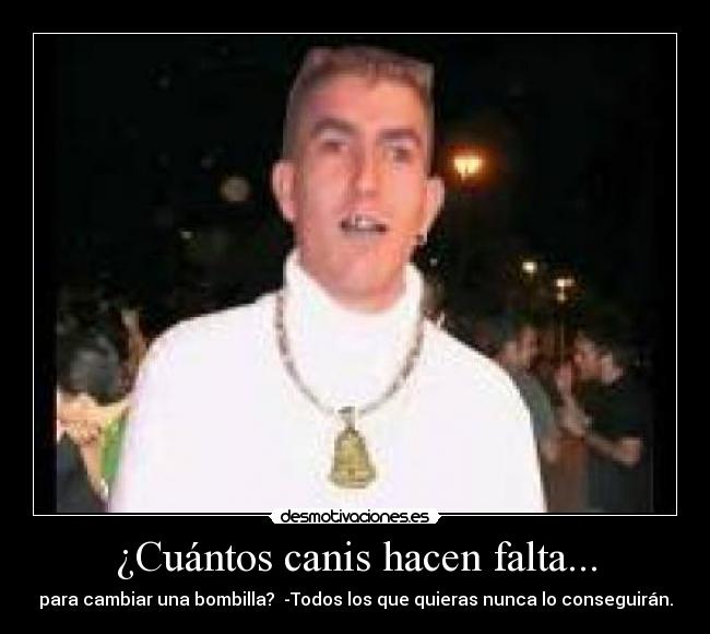 ¿Cuántos canis hacen falta... - para cambiar una bombilla? -Todos los que quieras nunca lo conseguirán.