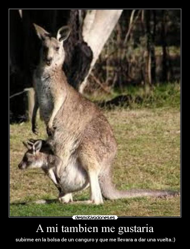 A mi tambien me gustaria -