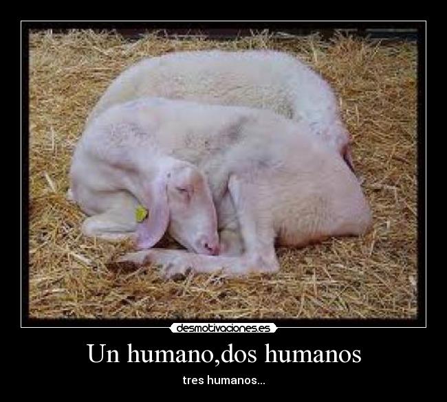 Un humano,dos humanos - tres humanos...