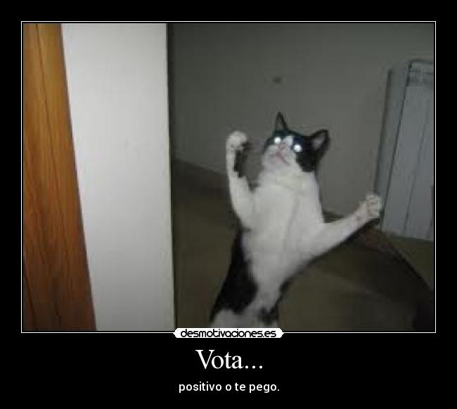 Vota... - positivo o te pego.