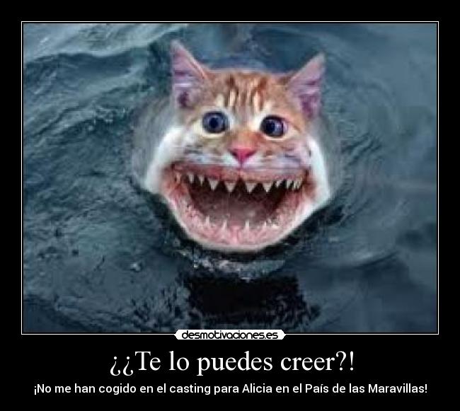 ¿¿Te lo puedes creer?! - 