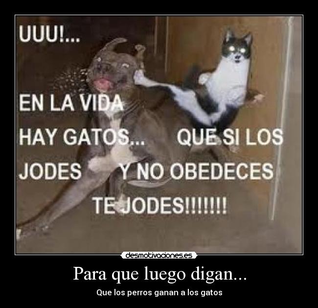 Para que luego digan... - 