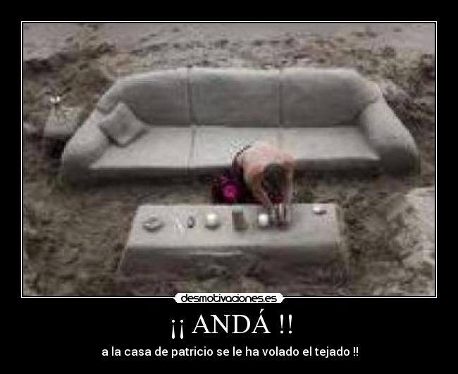 ¡¡ ANDÁ !! - a la casa de patricio se le ha volado el tejado !!