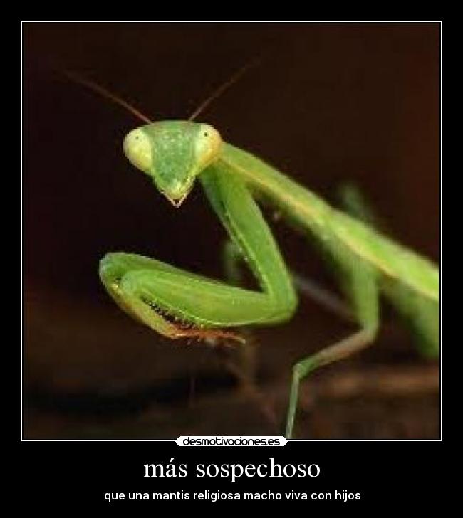 más sospechoso - 