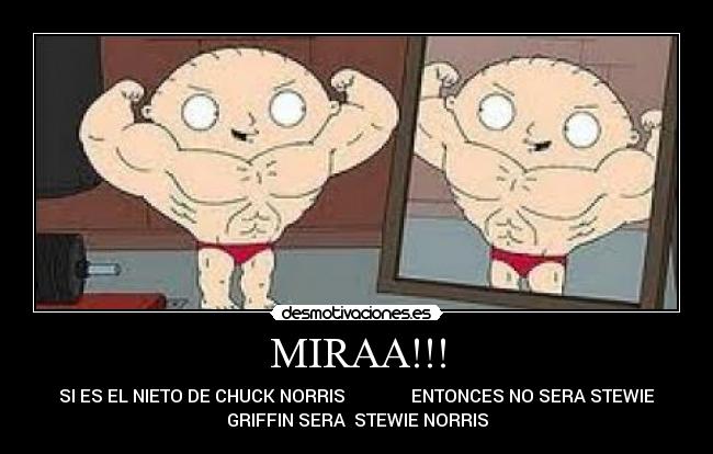 MIRAA!!! - SI ES EL NIETO DE CHUCK NORRIS               ENTONCES NO SERA STEWIE
GRIFFIN SERA  STEWIE NORRIS