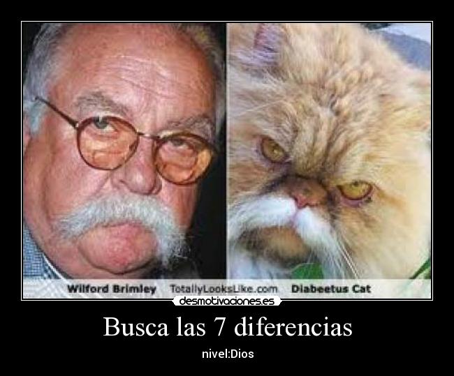 Busca las 7 diferencias -