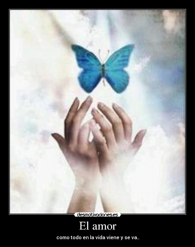 carteles amor amor desmotivaciones