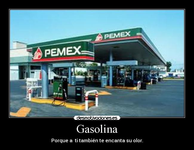 Gasolina - 