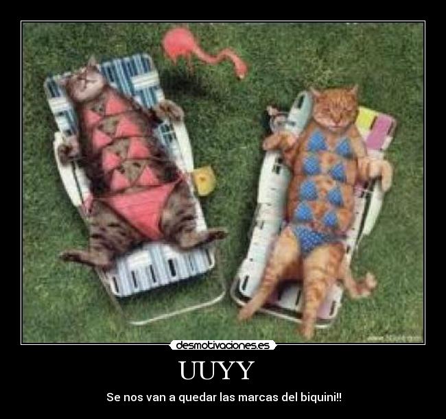 UUYY - Se nos van a quedar las marcas del biquini!!