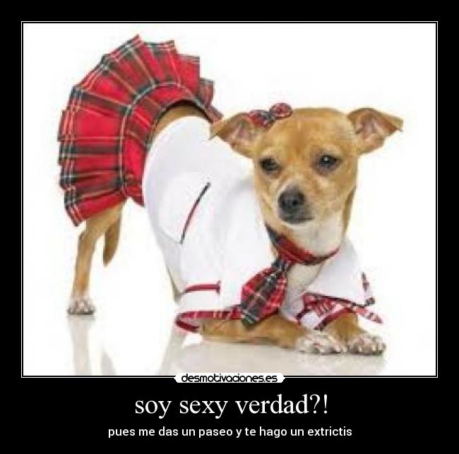 soy sexy verdad?! - pues me das un paseo y te hago un extrictis