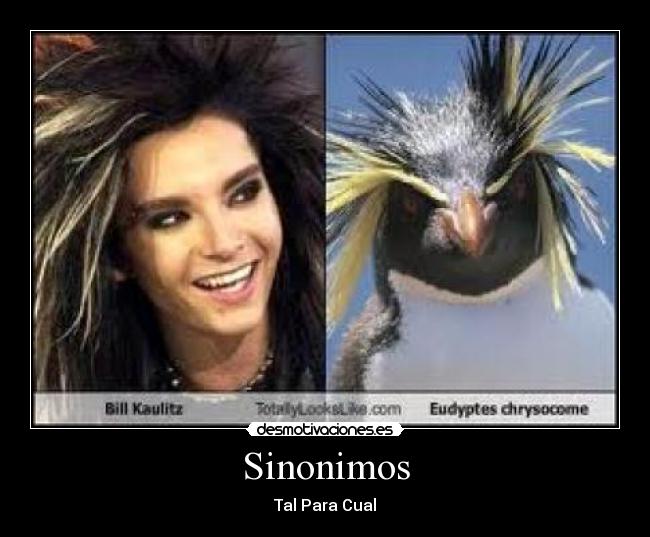 Sinonimos - 