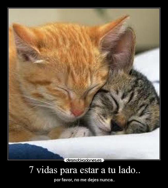 7 vidas para estar a tu lado.. -