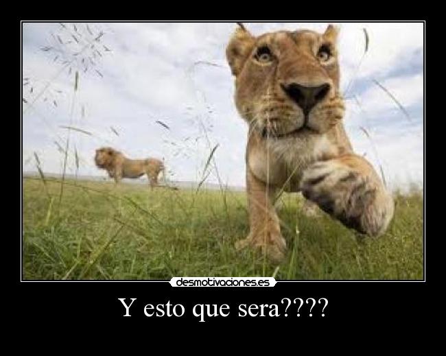 carteles ase desmotivaciones