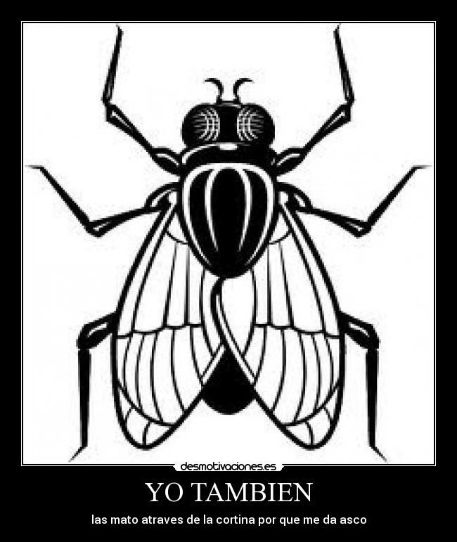 YO TAMBIEN -