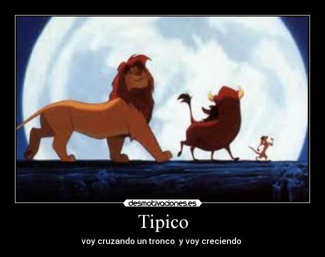 Tipico - 