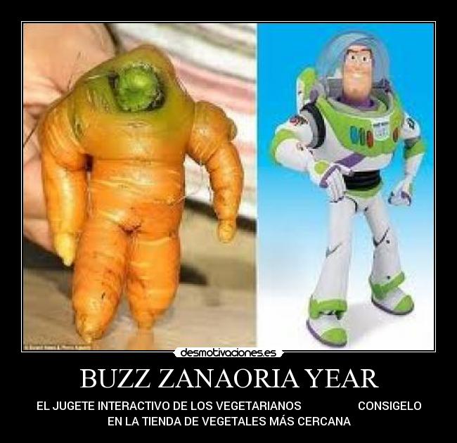 BUZZ ZANAORIA YEAR - 