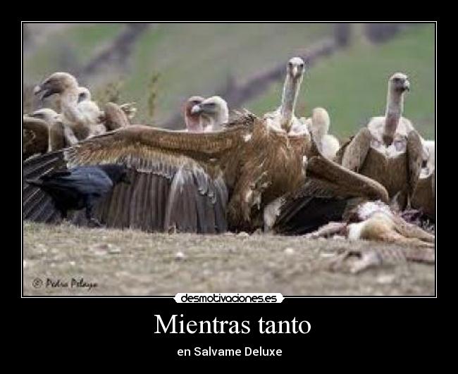 Mientras tanto - en Salvame Deluxe