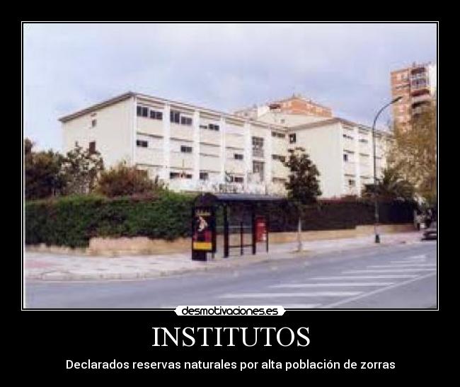 INSTITUTOS - 