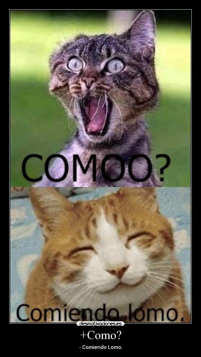 +Como? - - Comiendo Lomo.