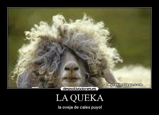 LA QUEKA - la oveja de cales puyol