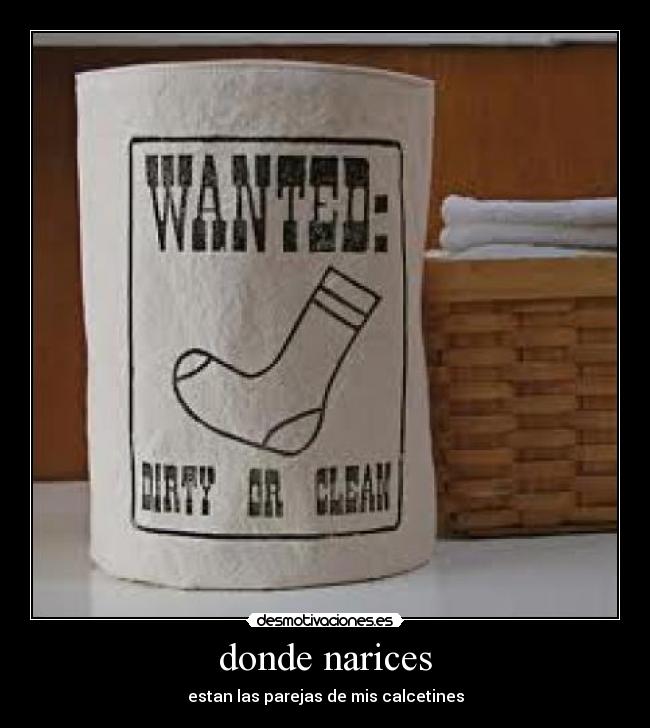 donde narices - estan las parejas de mis calcetines