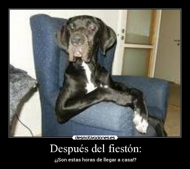 Después del fiestón: - ¿¡Son estas horas de llegar a casa!?