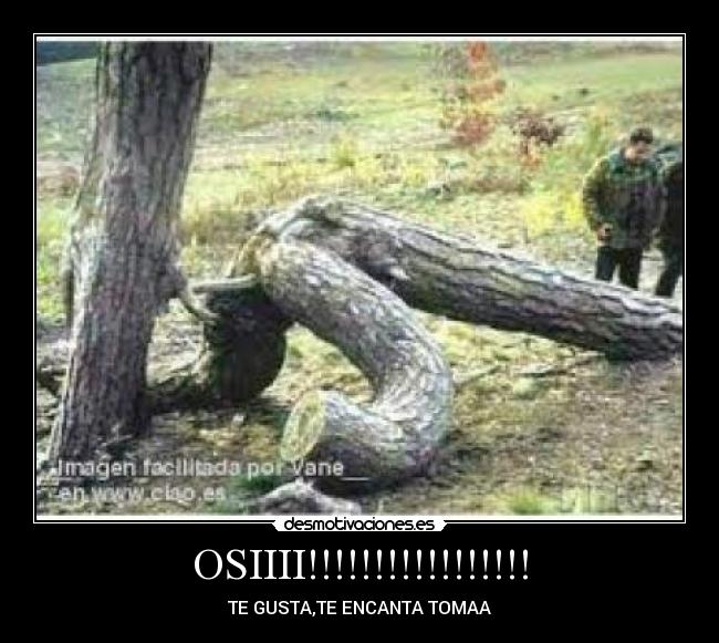 OSIIII!!!!!!!!!!!!!!!!! -