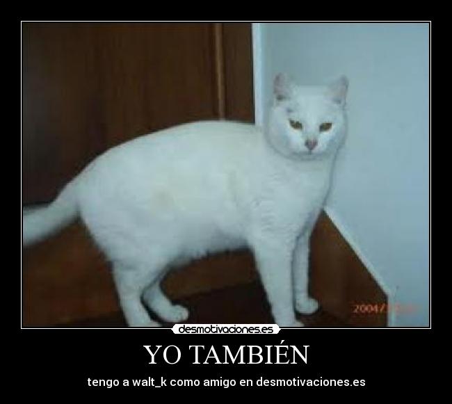 YO TAMBIÉN - tengo a walt_k como amigo en desmotivaciones.es