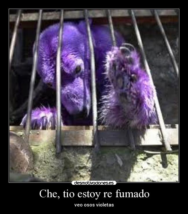 Che, tio estoy re fumado - 