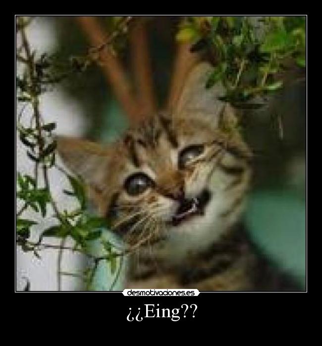 ¿¿Eing?? -
