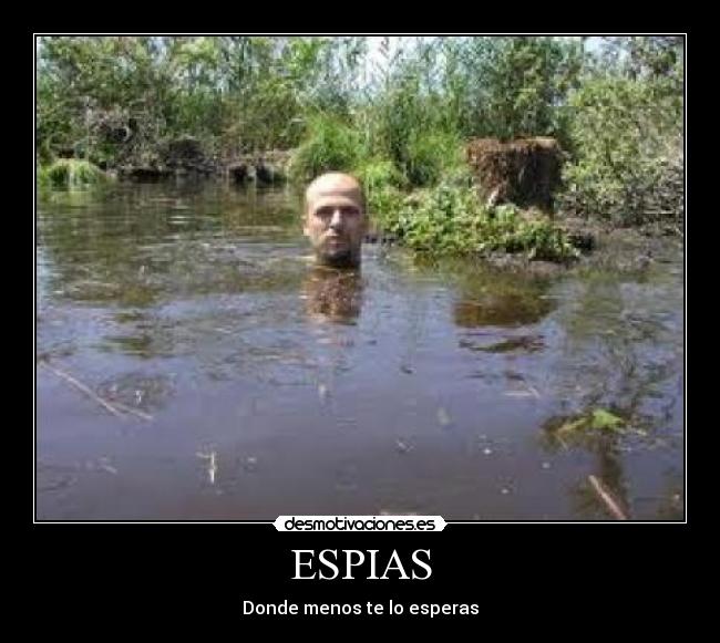 carteles xgorkax desmotivaciones