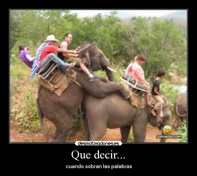 carteles qsxq desmotivaciones