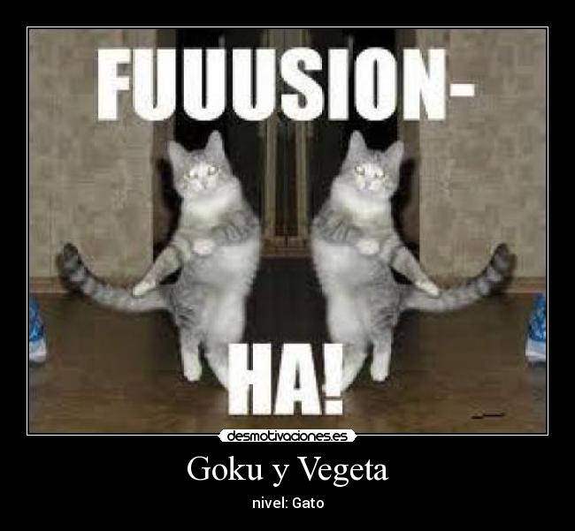 Goku y Vegeta - nivel: Gato