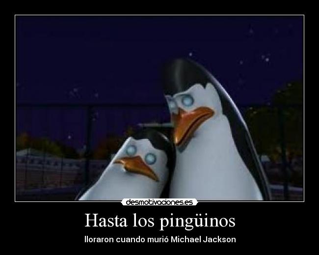 Hasta los pingüinos - lloraron cuando murió Michael Jackson